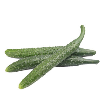 山东长黄瓜水果黄瓜带刺黄瓜青瓜农家种植现摘黄瓜  顺丰快递 产地