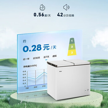 海尔（Haier）216升双温双箱商用家用冰柜 蝶门卧式冰柜家用小型冰箱冷柜FCD-216LHSD