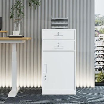 丰龙矮柜档案资料办公家用文件柜带锁储物铁皮抽屉柜850高二斗一门 丰龙矮柜档案资料办公家用文件柜带锁储物铁皮抽屉柜850高二斗一门