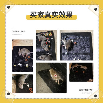 绿叶 粘鼠板40片装 餐厅酒店商用多用途耗子板捕鼠器灭鼠板 GL02113