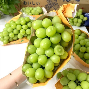 晴王超甜 正宗云南阳光玫瑰香印葡萄无籽晴王葡萄  精美礼盒整箱送礼