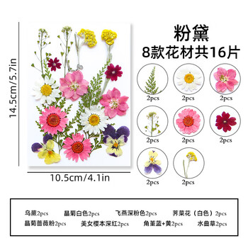 佳茉【热门商品】透明干花书签手工diy材料标本pvc塑封膜创意植物树叶压花瓣瓶26朵收集夏天