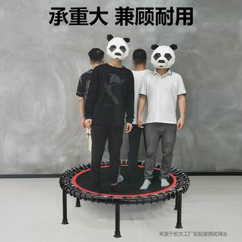 宏太(HongTai)蹦蹦床大人儿童家用室内折叠蹦床健身房跳跳床运动蹭蹭床 宏太(HongTai)蹦蹦床大人儿童家用室内折叠蹦床健身房跳跳床运动蹭蹭床
