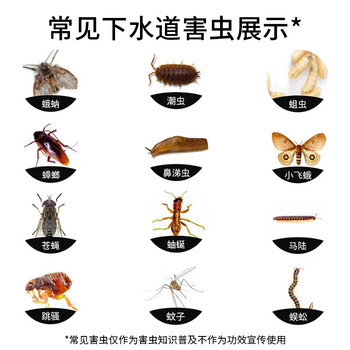 郁康下水道杀虫剂专杀去除小飞虫卫生间厕所浴室管道除虫220ml