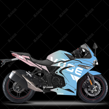 隆鑫无极300rr贴纸改装摩托车贴画装饰版画贴花diy防水贴膜黑编号02
