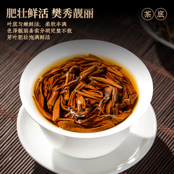 茗杰云南凤庆滇红茶叶蜜香养胃红茶自己喝 罐装500g 茶叶礼盒送礼送茶
