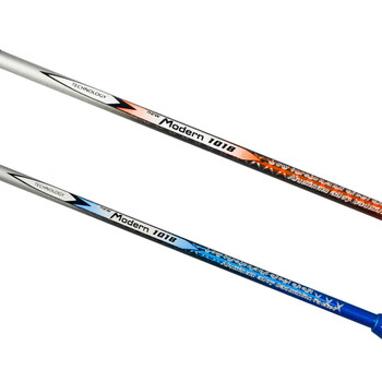 红双喜（DHS）DHS羽毛球拍对拍儿童成人初学双拍羽拍套装含羽球手胶1018