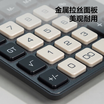 得力（deli）金属面板桌面计算器 双电源简约轻薄机身 现代办公风格12位大屏数显 TE309深灰