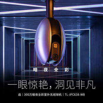 TP-LINK 300万暗夜全彩双频无线监控器室外摄像头防水云台手机远程监控可对话 IPC638-WB4