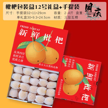 天地企业礼盒批发盒手提包装5/10斤纸箱 12号枇杷单礼盒 手提袋 10套