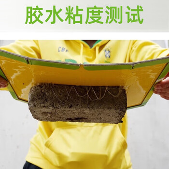 绿叶粘鼠板 6个装 老鼠贴 强力黏鼠器 灭鼠板 诱捕器 GL02120