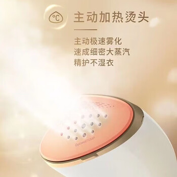 飞利浦挂烫机手持式蒸汽熨烫刷家用小型平烫竖烫增压熨斗 STH7030/18