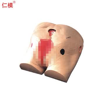 仁模RM/10高级褥疮护理模型 压疮褥疮基本护理技术练习评估四个阶段褥疮模型