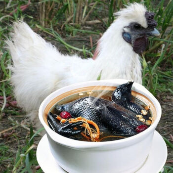 京诗悦正宗白凤乌鸡新鲜整只乌骨鸡农家散养土鸡现杀1250g月子鸡生鲜