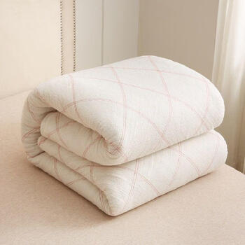 单人褥子成人棉被芯冬天加厚学生宿舍春秋被褥棉胎棉絮垫被铺底5斤