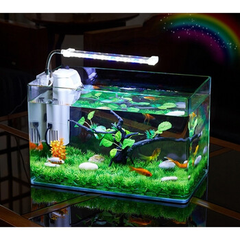 桌面长方形小鱼缸迷你水族箱生态超白金鱼缸小型缸创意免换水家用 长