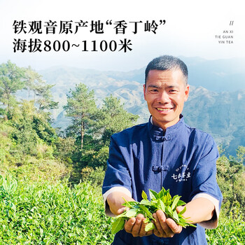 七春铁观音茶叶 特级安溪铁观音高山春茶自己喝500g端午送老丈人礼盒