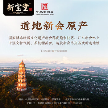 岭南新宝堂陈皮十年新会陈皮干广东送礼特产袋装50克