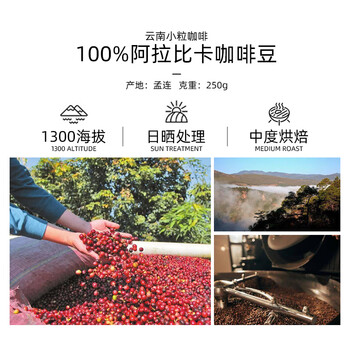 中啡（ZHONGFEI）云南小粒咖啡厌氧日晒咖啡豆250g 手冲咖啡现磨新鲜 浅中度烘焙