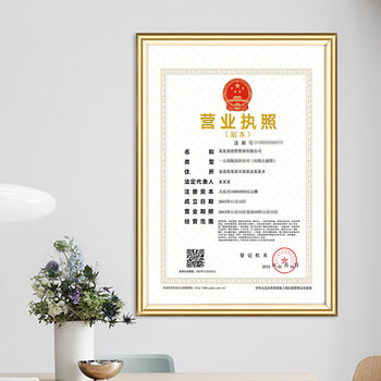 金隆兴 营业执照正本框A3相框挂墙仿铝合金画框装裱保护套工商卫生许可证书荣誉证书奖状框框架金色BB-A3