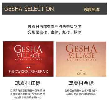 喵小雅瑰夏村金标瑰夏咖啡豆埃塞俄比亚精品手冲单品黑咖啡浅度烘焙100g