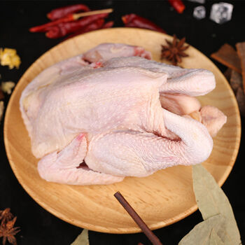 广纳力驰山东土鸡农家散养走地鸡整只三黄鸡鸡新鲜鸡肉冷冻老母鸡整鸡
