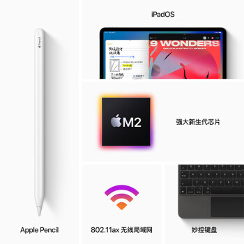 Apple/苹果 iPad Pro 11英寸平板电脑 2022年款(1TB WLAN版/M2芯片/学习办公娱乐/MNXK3CH/A)深空灰色