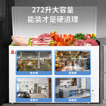 志高（CHIGO）单温冷柜 272升家用商用小型冰柜 微霜一级能效冷藏冷冻转换卧式冷冻柜   BD/BC-272DW