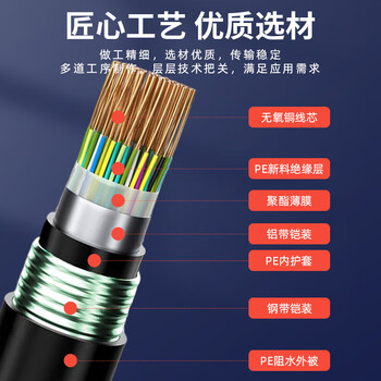 丰应子 室外100对重铠大对数通信线缆 语音电话线0.4线径1米 FYZ-HYA53 100*2*0.4