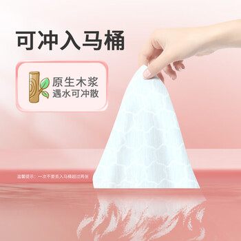 珍爱女性湿厕纸 卫生湿巾 洁阴私处清洁湿厕巾厕所用纸60片*4包 珍爱女性湿厕纸 卫生湿巾 洁阴私处清洁湿厕巾厕所用纸60片*4包