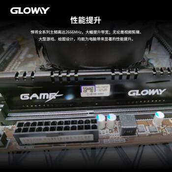 光威（Gloway）8GB DDR4 2666 台式机内存条 悍将系列