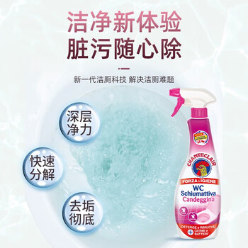 CHANTECLAIR大公鸡管家（HWM）马桶清洁剂洁厕液洁厕灵去黄除臭 625ml 随机发