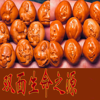 生命之源橄榄核雕- 京东