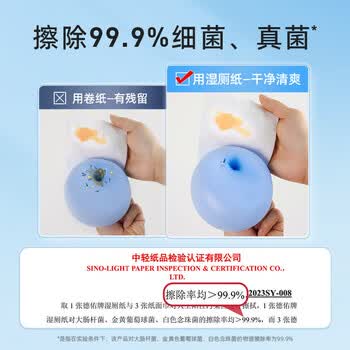 DEEYEO德祐 纯水湿厕纸80抽*6包 厕纸湿巾洁厕如厕湿纸巾