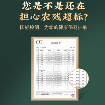 珍茶师乌龙茶安溪铁观音清香型特级500g罐装茶叶自己喝