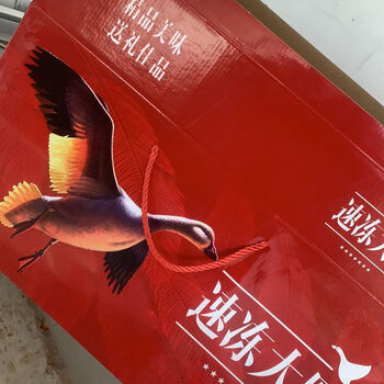 现杀大雁肉 会飞大灰雁鹅 保温箱 冰袋 空运 大雁鹅-自己家吃(无礼盒)