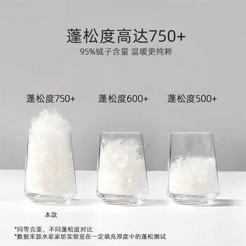 水星家纺羽绒被全新升级，实现你对高端生活的向往！