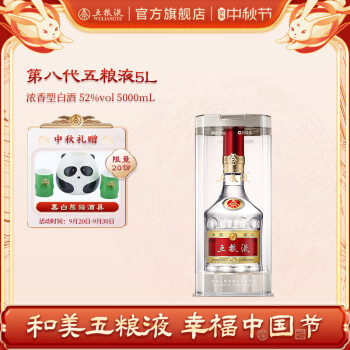 五粮液十年500ml 白酒中国酒-