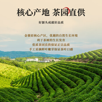 第一江南红茶武夷山金骏眉特级500g新茶蜜香型茶叶礼盒罐装高端送礼物 第一江南红茶武夷山金骏眉特级500g新茶蜜香型茶叶礼盒罐装高端送礼物
