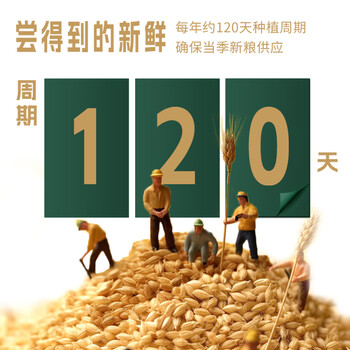 金味北纬41°有机纯燕麦片1000g罐装 早餐冲饮即食燕麦片 送礼佳品