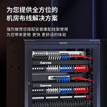 安普康（AMPCOM）超六类双屏蔽网线 CAT6A纯铜100米万兆8芯0.58mm工程家装宽带阻燃抗干扰双绞网络线缆AMC6A100RD
