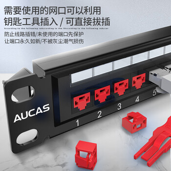 奥卡斯（AUCAS）RJ45网口锁 网络端口锁 网络安全锁 数据防盗防尘网口RJ45锁 [锁12个+钥匙1个]红色ACPT5678-RD