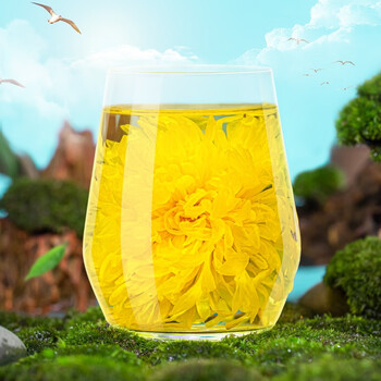 福茗源 茶叶 菊花茶花草茶 金丝皇菊约200朵 一朵一杯特大朵黄菊100g/袋 福茗源 茶叶 菊花茶花草茶 金丝皇菊约200朵 一朵一杯特大朵黄菊100g/袋