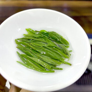 双碑绿茶信阳毛尖200g2026年新茶雨前正宗春茶茶叶高档礼盒装送礼送人