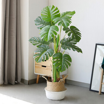 可狄空净北欧ins风仿真植物摆件龟背竹绿植盆栽室内落地摆件家居装饰