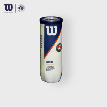 Wilson威尔胜全场地专业用球 法网联名款 Roland Garros   WRT126400