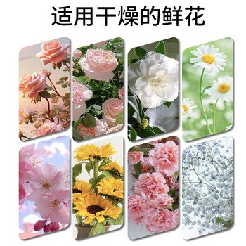 MISFIT鲜花干燥剂500g 干花朵硅胶粉diy手工制作材料永生花可重复使用