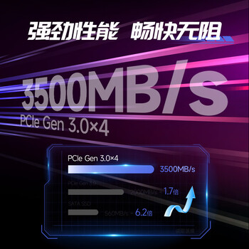 梵想（FANXIANG）500GB SSD固态硬盘 M.2接口NVMe协议PCIe3.0 2230小尺寸规格 电脑游戏机扩展硬盘S530Q