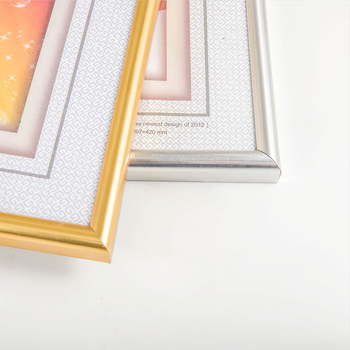 金隆兴 营业执照副本框A4相框挂墙仿铝合金画框装裱保护套工商卫生许可证书荣誉证书奖状框框架银色BB-A4