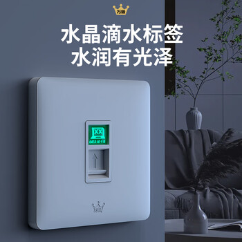 万级(WANJEED)网络面板六类 6类直通式网线水晶头插座86型一位单口插座套装 电脑家装信息模块 金色1-44259